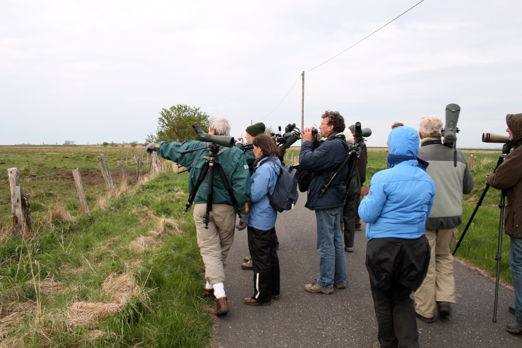 VWG vogelreis Oost Duitsland mei 2010 279